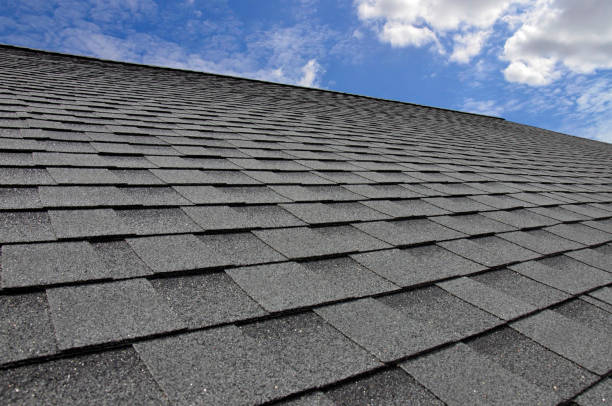 Professional Roofing Services in Evart, MI